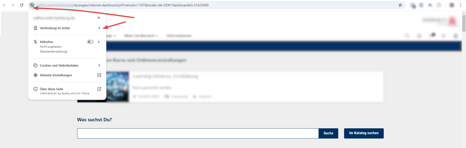 displaying_web_site_information.png